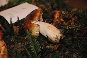 Ob gobarski evforiji je bila tudi razstava bogata 7